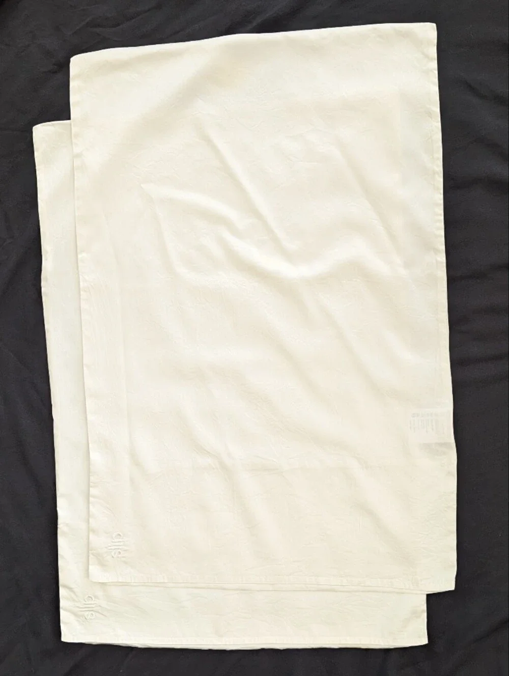 SLIP 100% Mulberry Silk Ivory White Queen Pillowcases Set of 2.